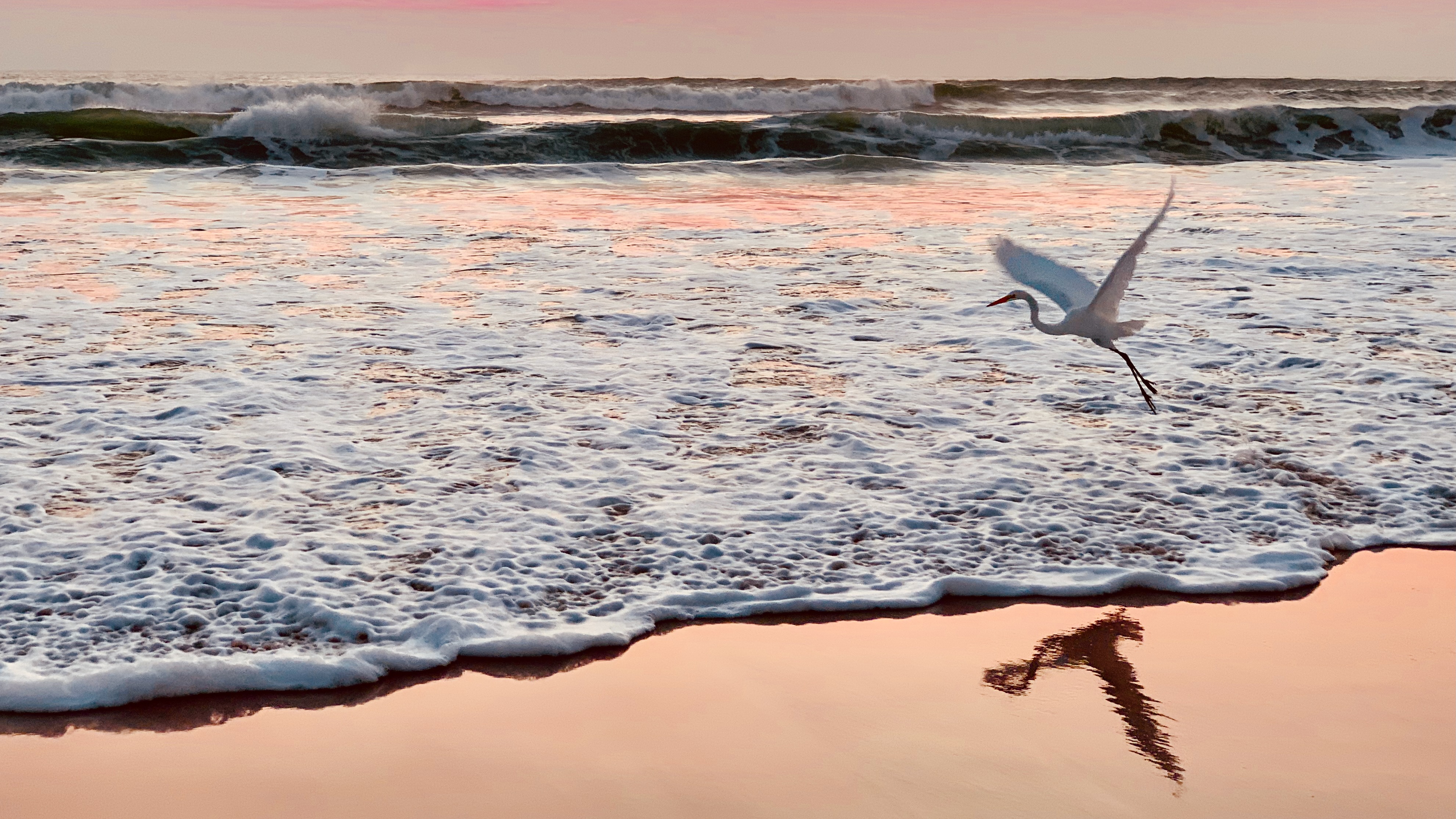 Field Notes at the Edge of Grace